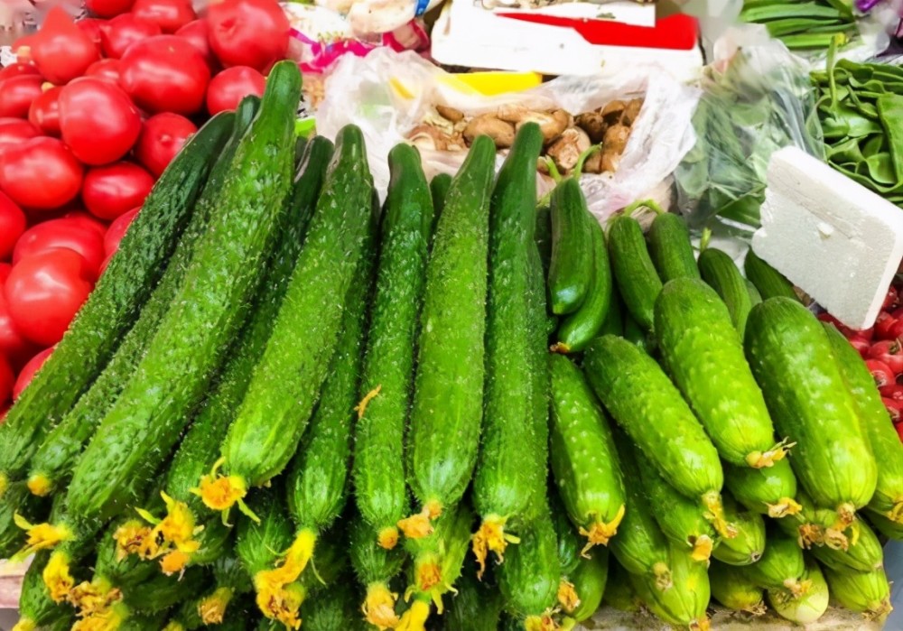 黄瓜怎么高产不生病,黄瓜高产有什么危害