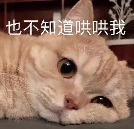 鑵归粦濮愬閬囦笂鑵归粦鐢蜂富,鑵归粦濮愬