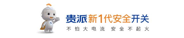 贵派开关如何,正品贵派开关