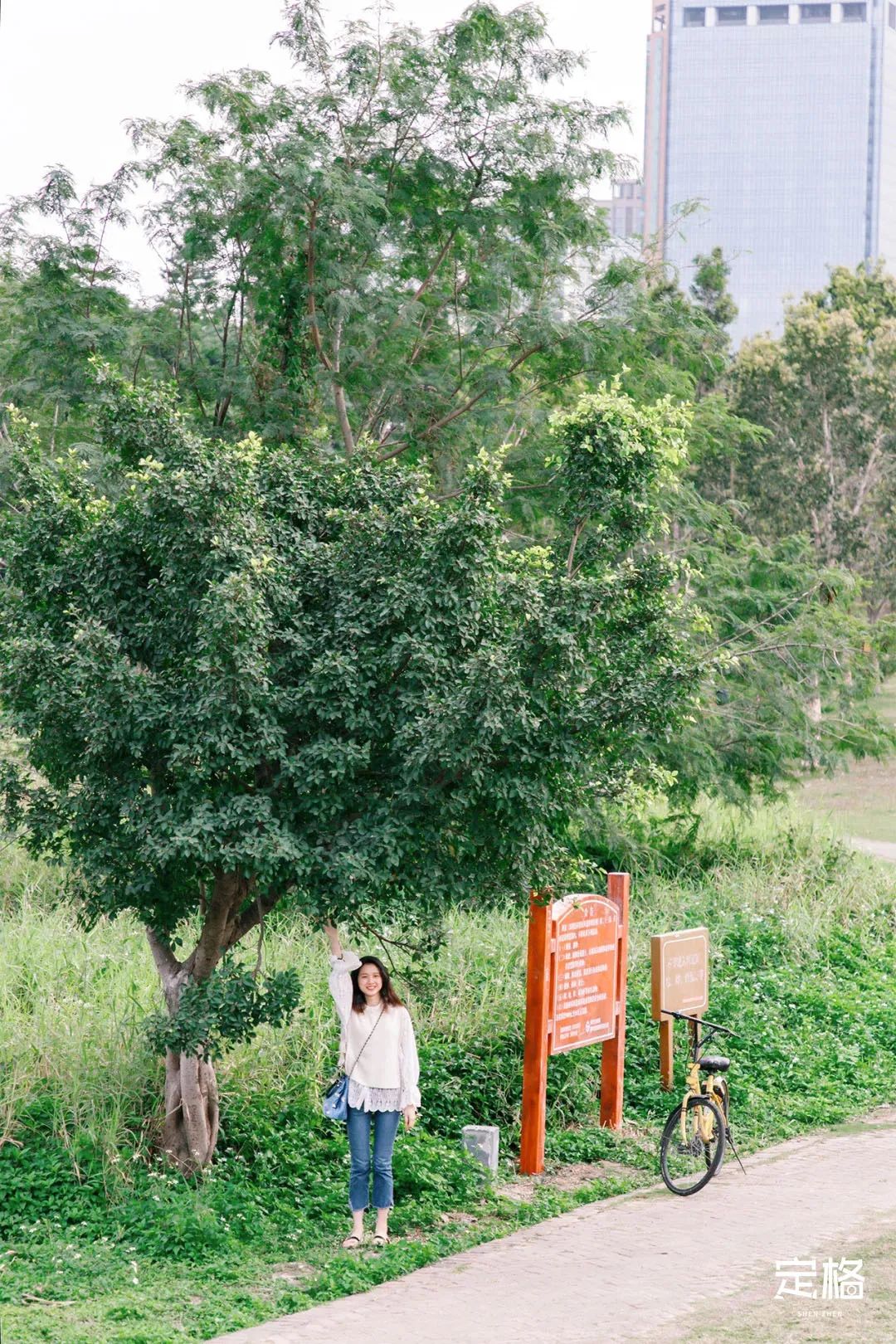 深圳免费露营的公园推荐,深圳22个露营公园