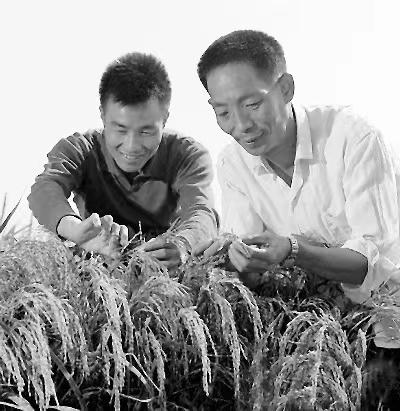 袁隆平年轻时的故事,袁隆平年轻时代