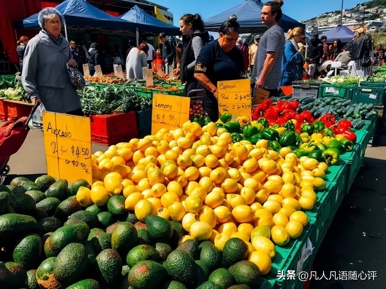 周游记2新西兰之旅,新西兰之旅15集