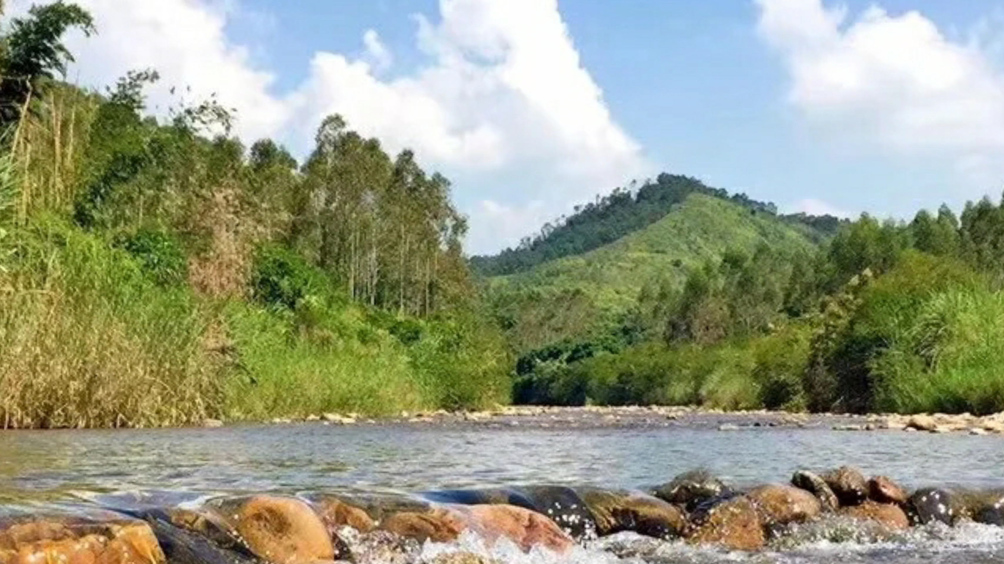 惠州赏梅花地方,惠州惠东梁化镇梅园