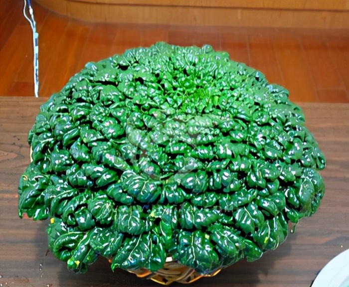 阳台种菜可以多茬采收,在阳台种菜最快采收的五种蔬菜