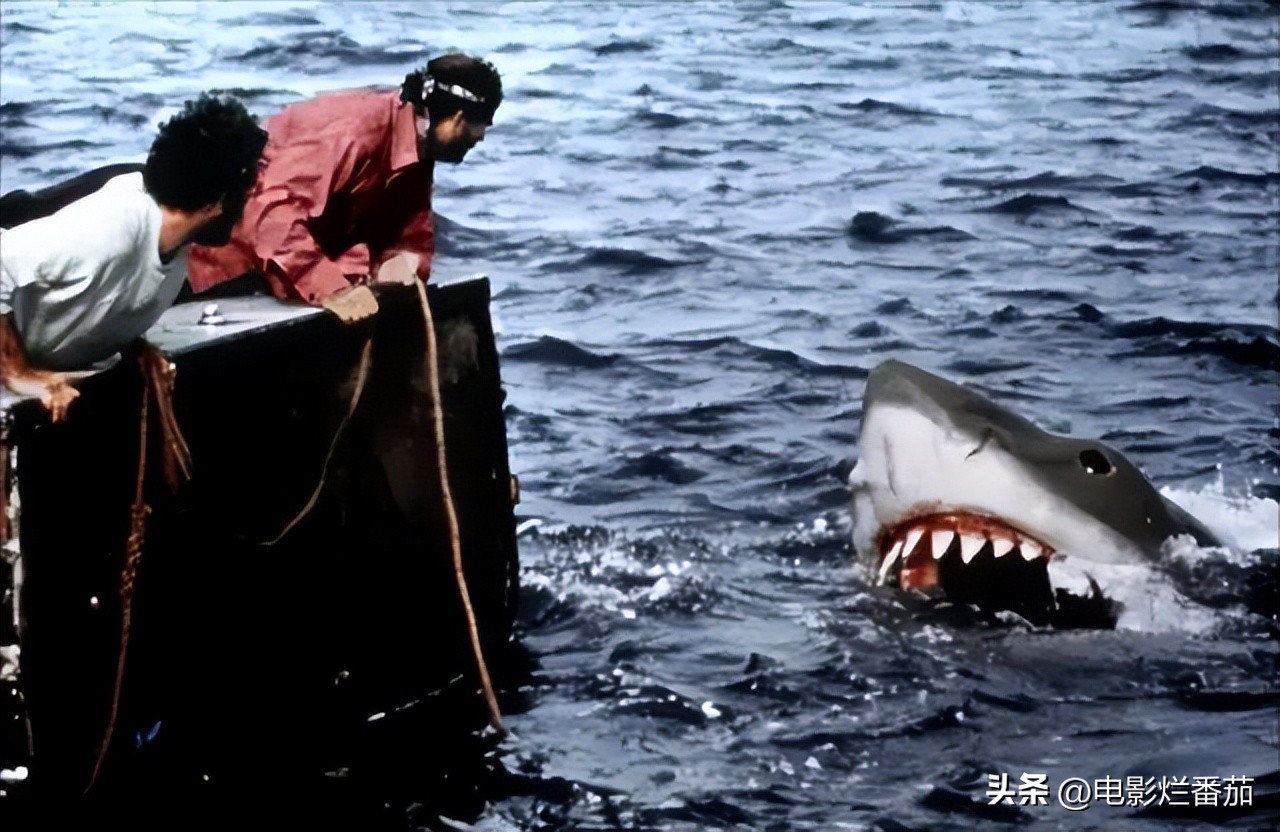 全球票房破亿电影,全球票房破百亿