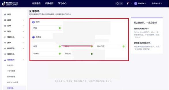 tiktok小店目前面向有哪些国家,tiktok小店选什么国家
