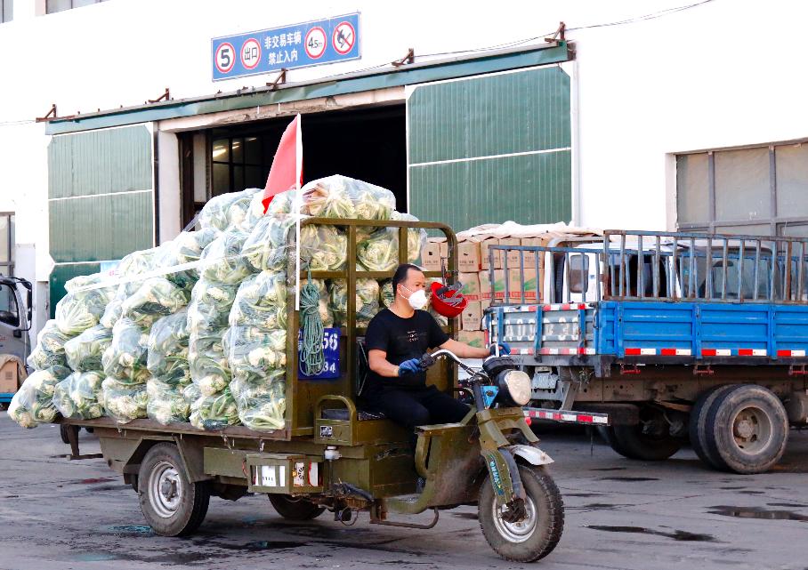 放心菜篮子供应充足,九鼎农贸市场菜篮子