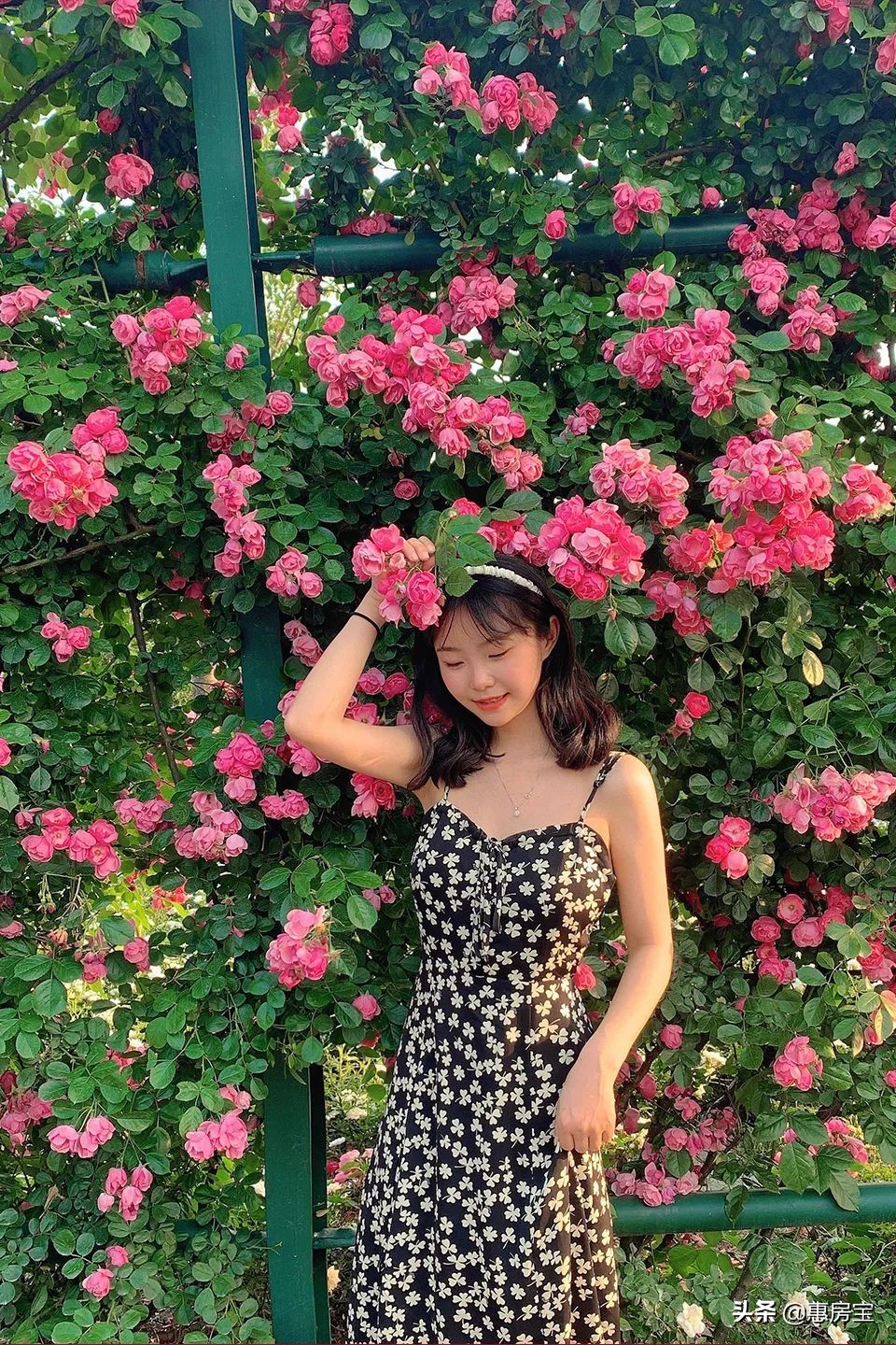 上海公园免费,上海免费公园排行