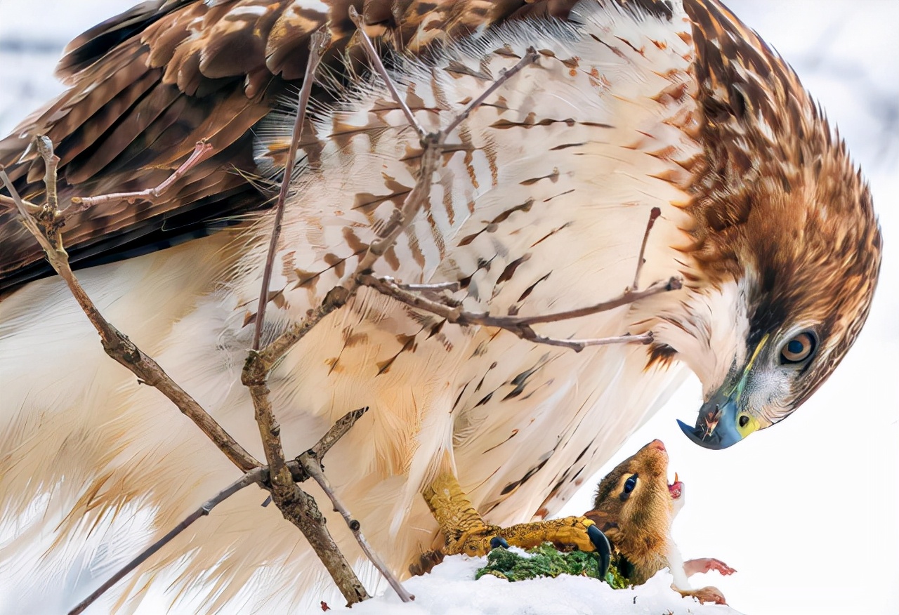 25张活久未见的历史照片,35张活久见的照片