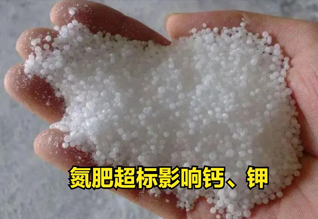 平衡肥和什么肥料是最佳搭配,平衡施肥是什么意思