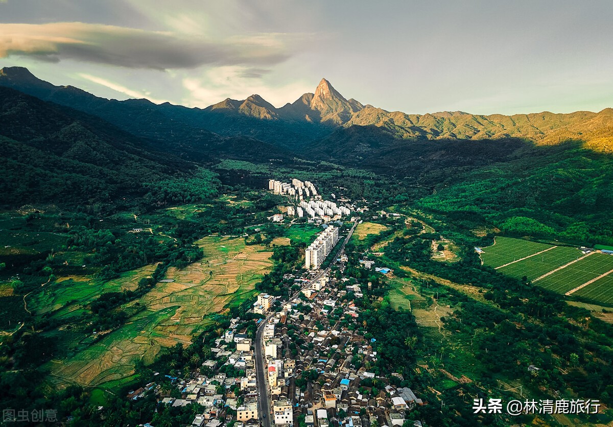 东北人为什么扎堆海南,海南三亚东北人为什么那么多