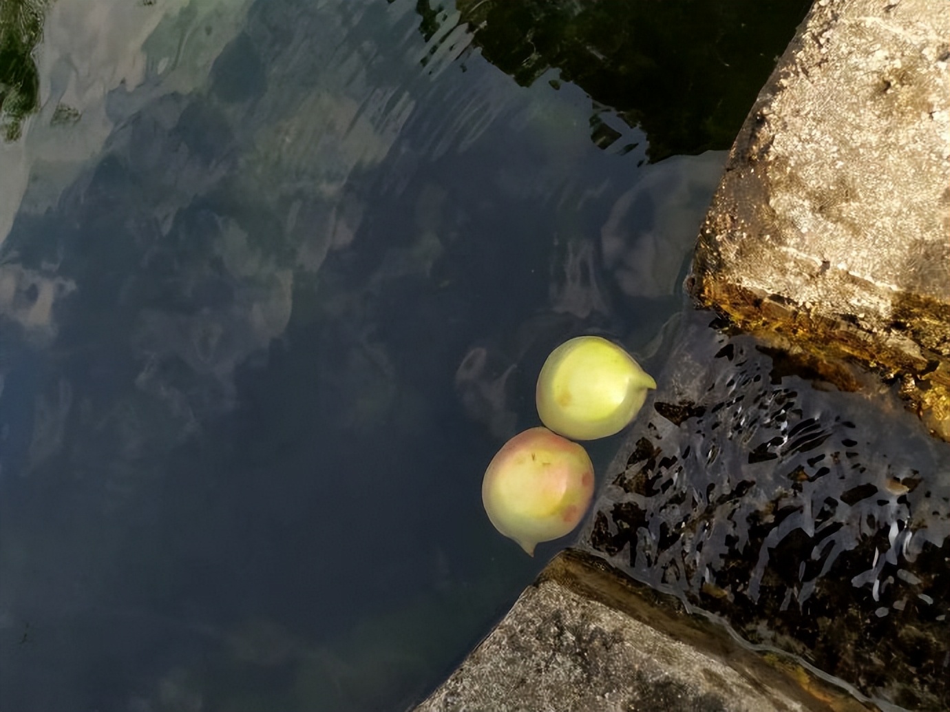 郴乐古道之水头江宜乐古道--广东省乐昌市庆云镇