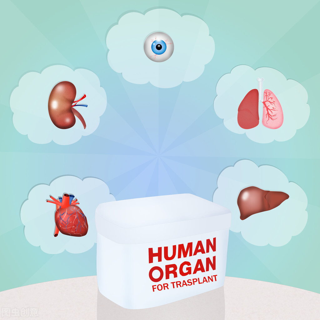 种植牙直播十问十答,种植牙前你要知道的小知识