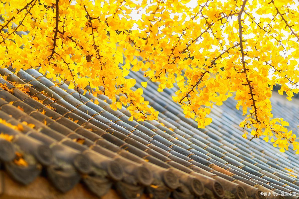 吐槽青岛坑人景区,被游客吐槽的景点其实应该这样玩