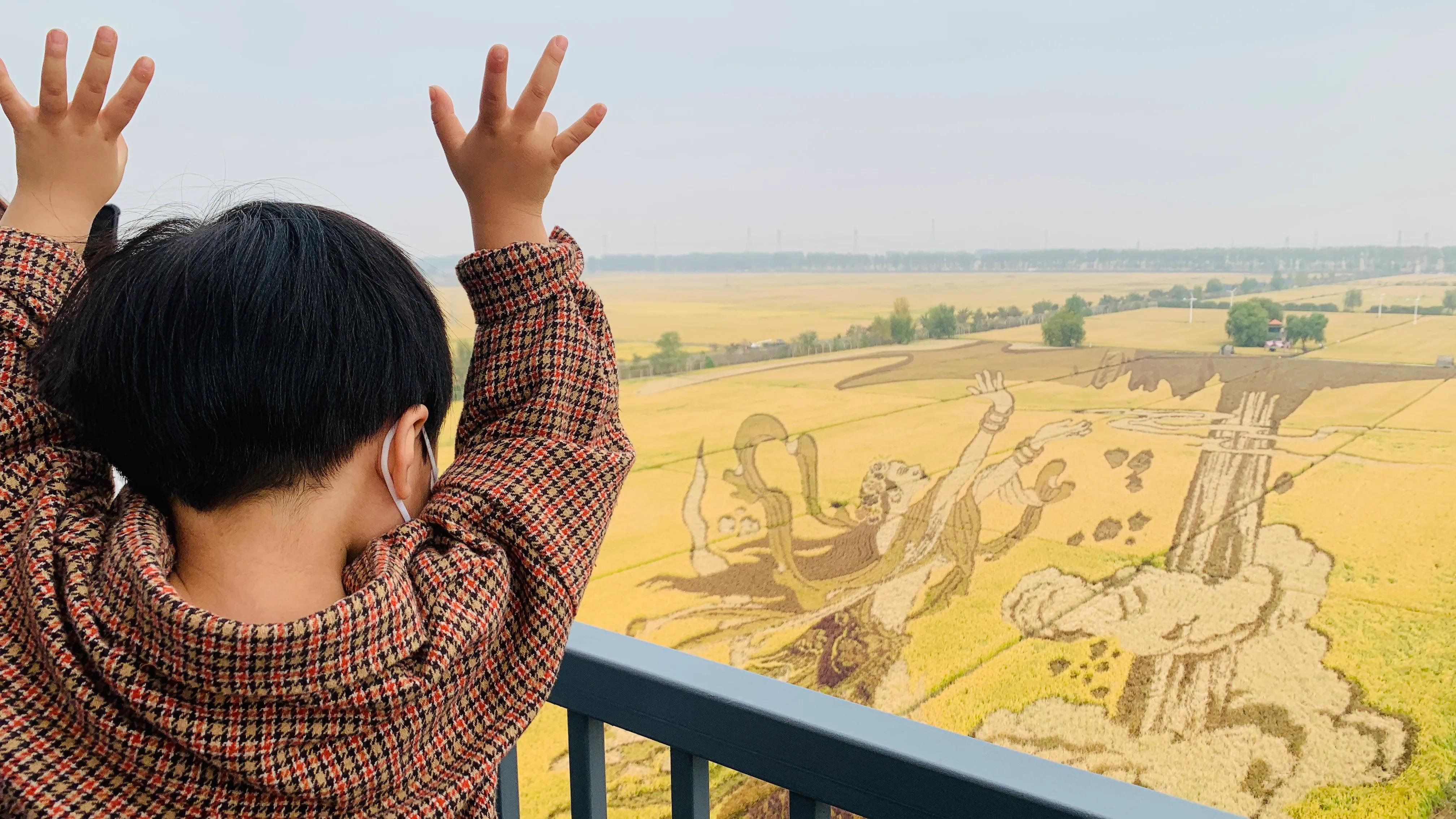 沈阳旅游景点稻梦空间,沈阳稻梦空间一日游攻略