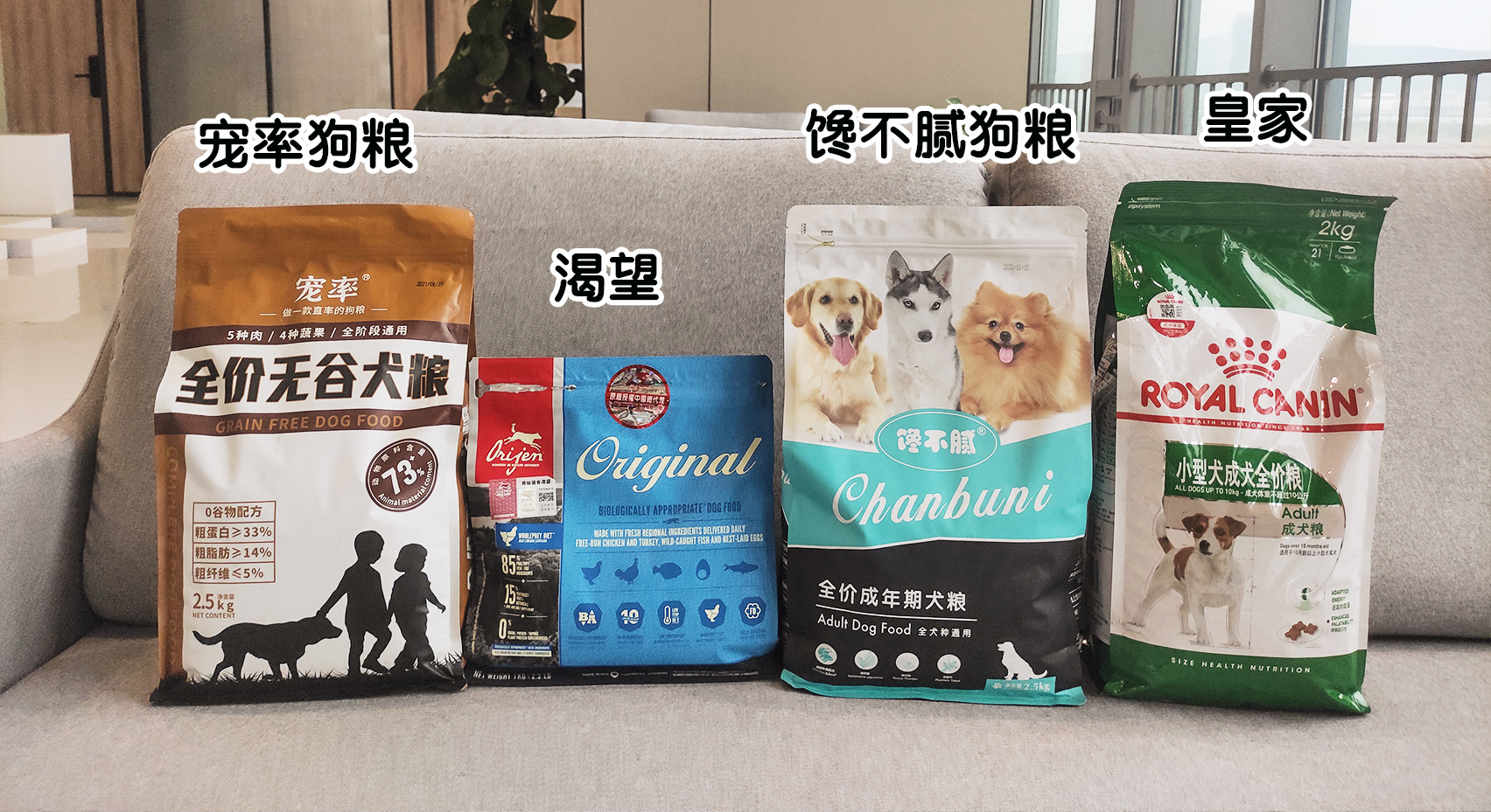 比熊尾巴下垂是什么病,比熊眼圈发红是什么病