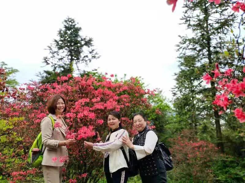 宜昌宜都当阳市组团江南六日游