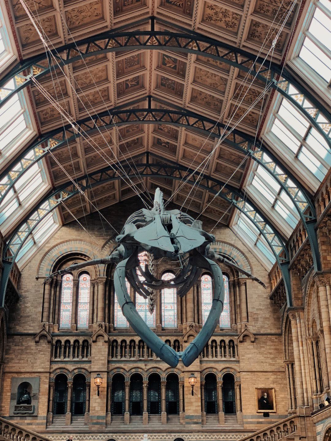 美国博物馆教育纳入国民教育体系,美国自然历史博物馆的由来