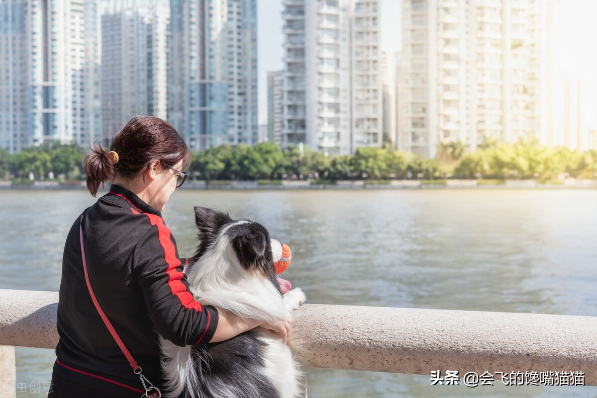 50岁的女人单身过得好吗,单身女人越来越多的原因