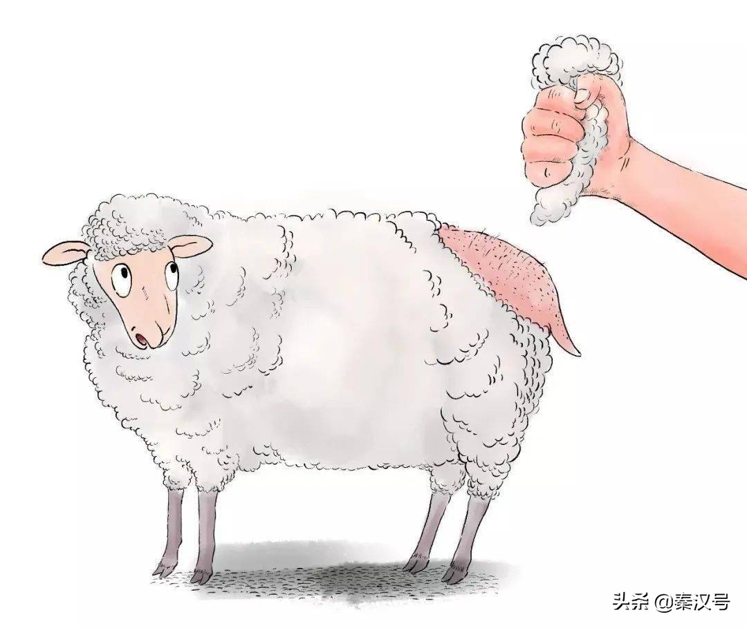 圭亚那和法属圭亚那不同,圭亚那和法属圭亚那是一个国家吗