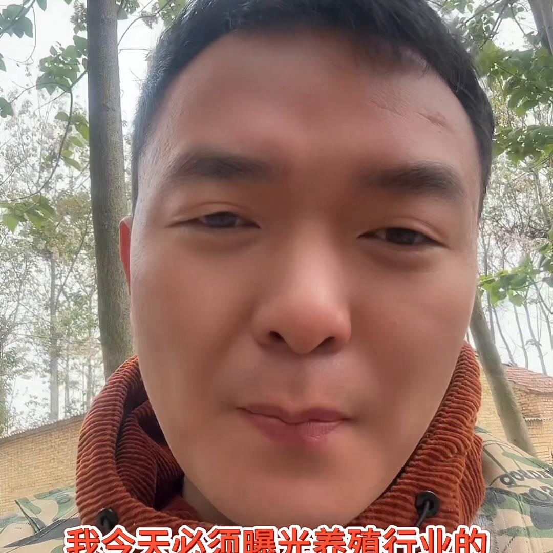 dou+小助手设置,dou+小助手投放有用吗