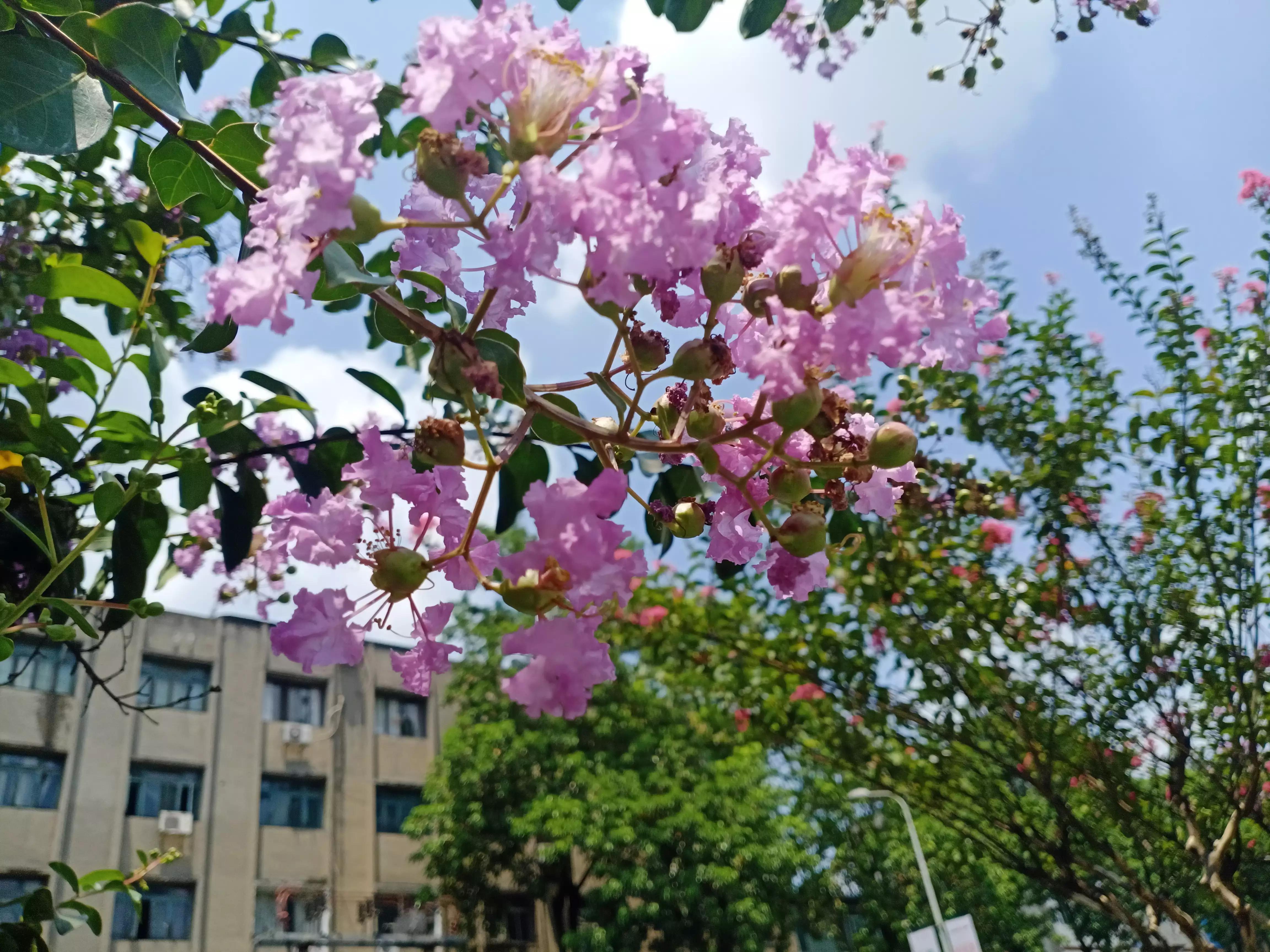 长篇小说连载二十二——风中的女人