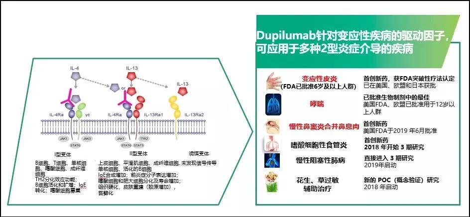 哮喘的诊断与治疗指南pdf,哮喘的监测和护理