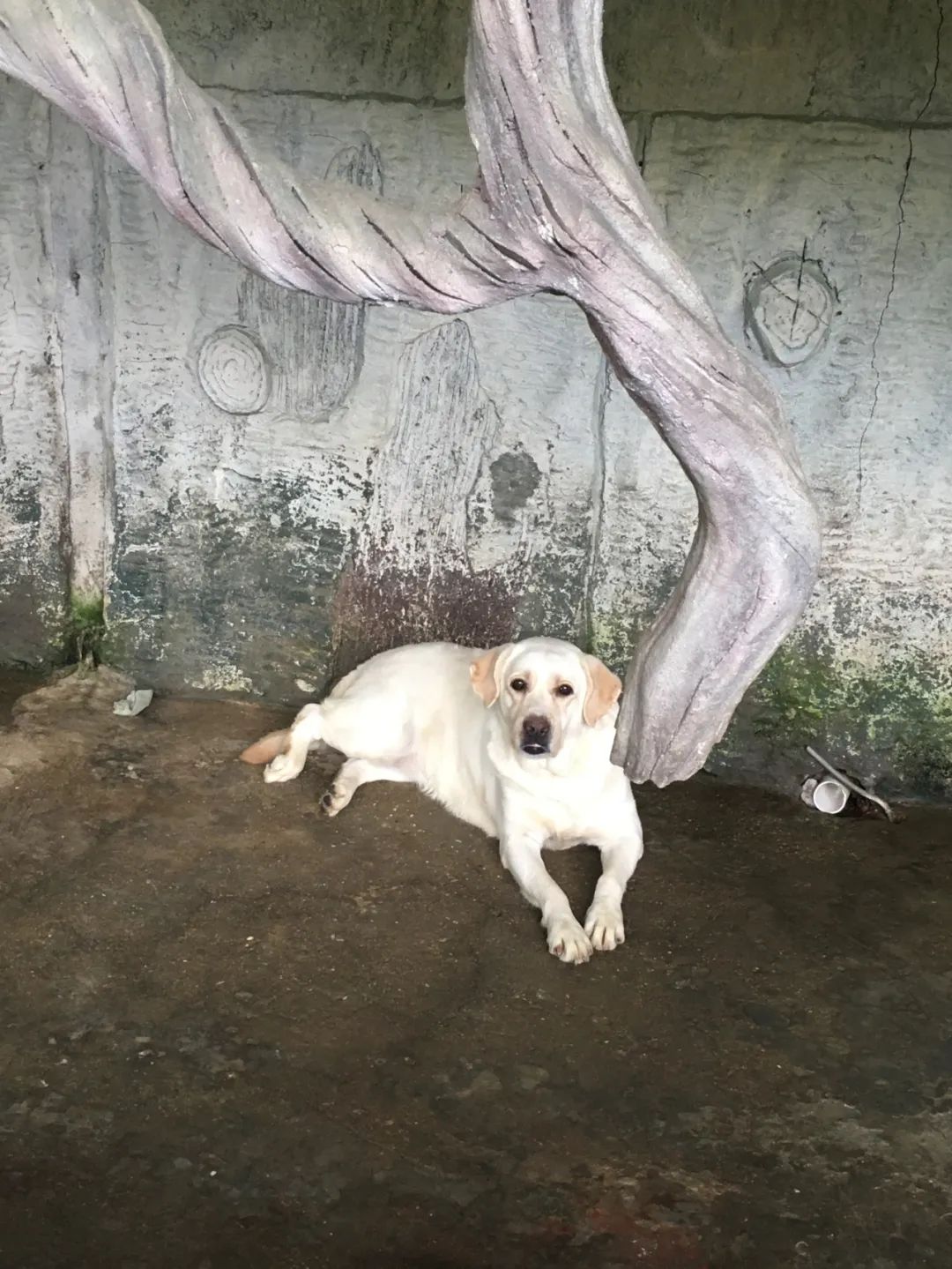 旭光电动车行,旭光车行向阳路