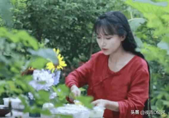 李子柒还能复出嘛,李子柒复出还能东山再起吗