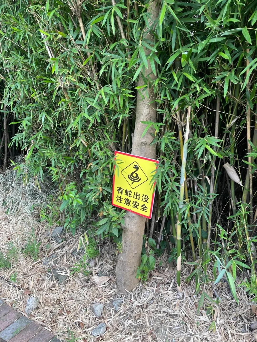 痛心的购房经历,嘉兴买房后悔的真实感受