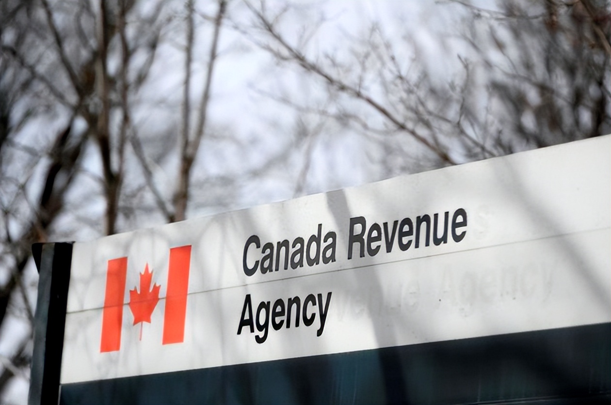 2019年加拿大税务政策有哪些变动,加拿大奢侈品税是多少