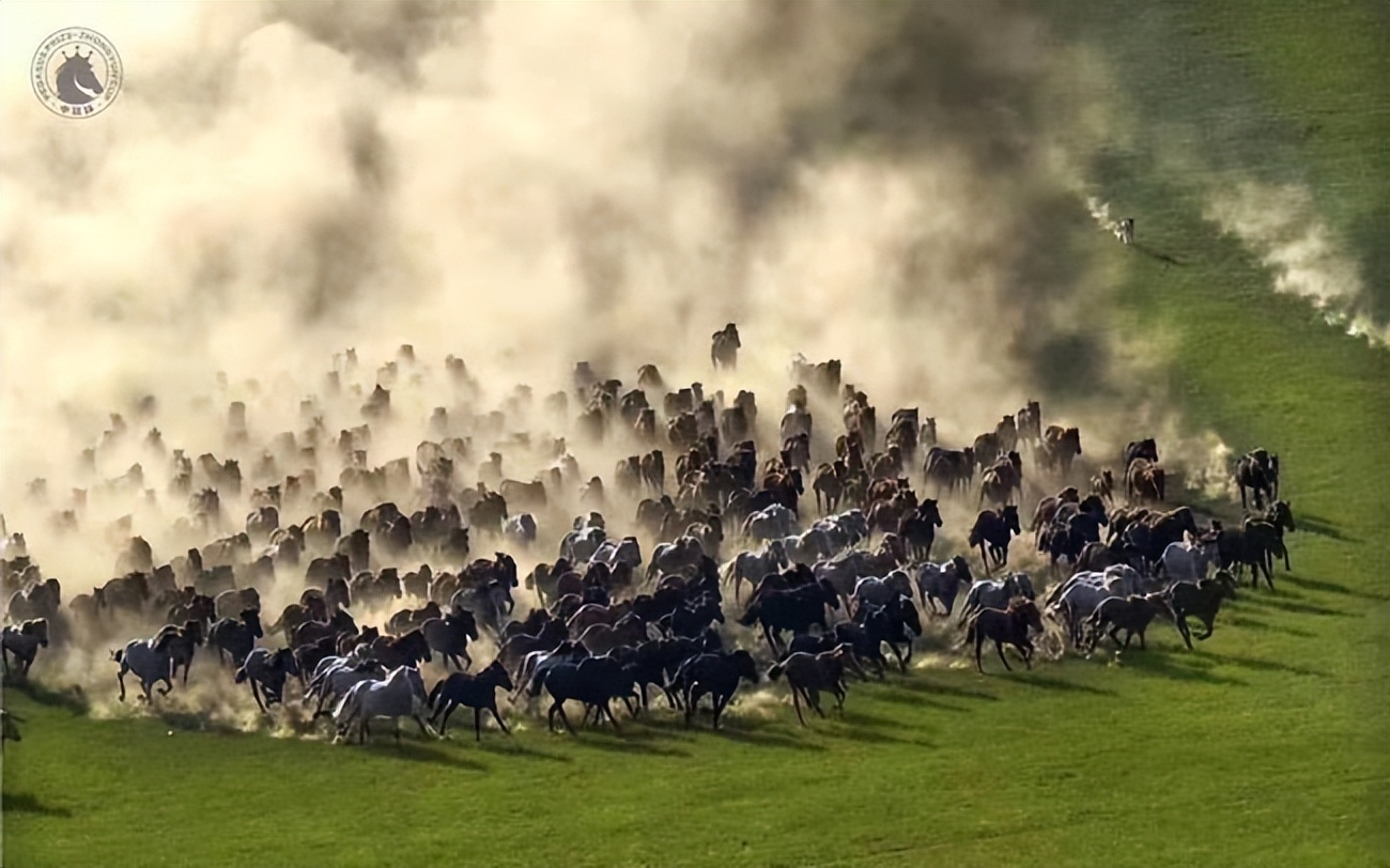 马产品新锐品牌“六滋堂”即将亮相打造真正国货优品