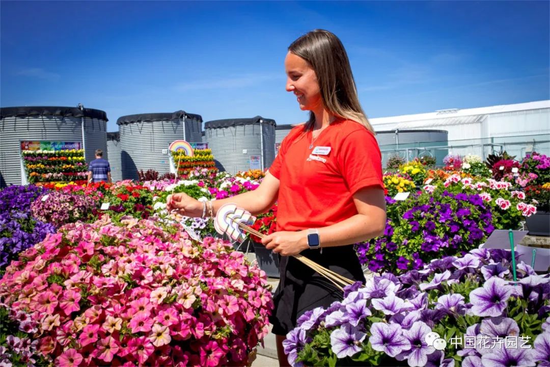 鑺卞崏鍝佺灞曠ず,鏂颁紭鑺卞崏鍝佺灞曠ず