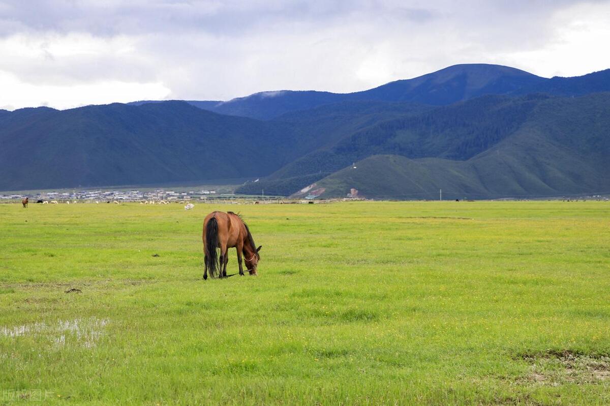 香格里拉最值得去的景点排名,香格里拉旅游必去的十大景点