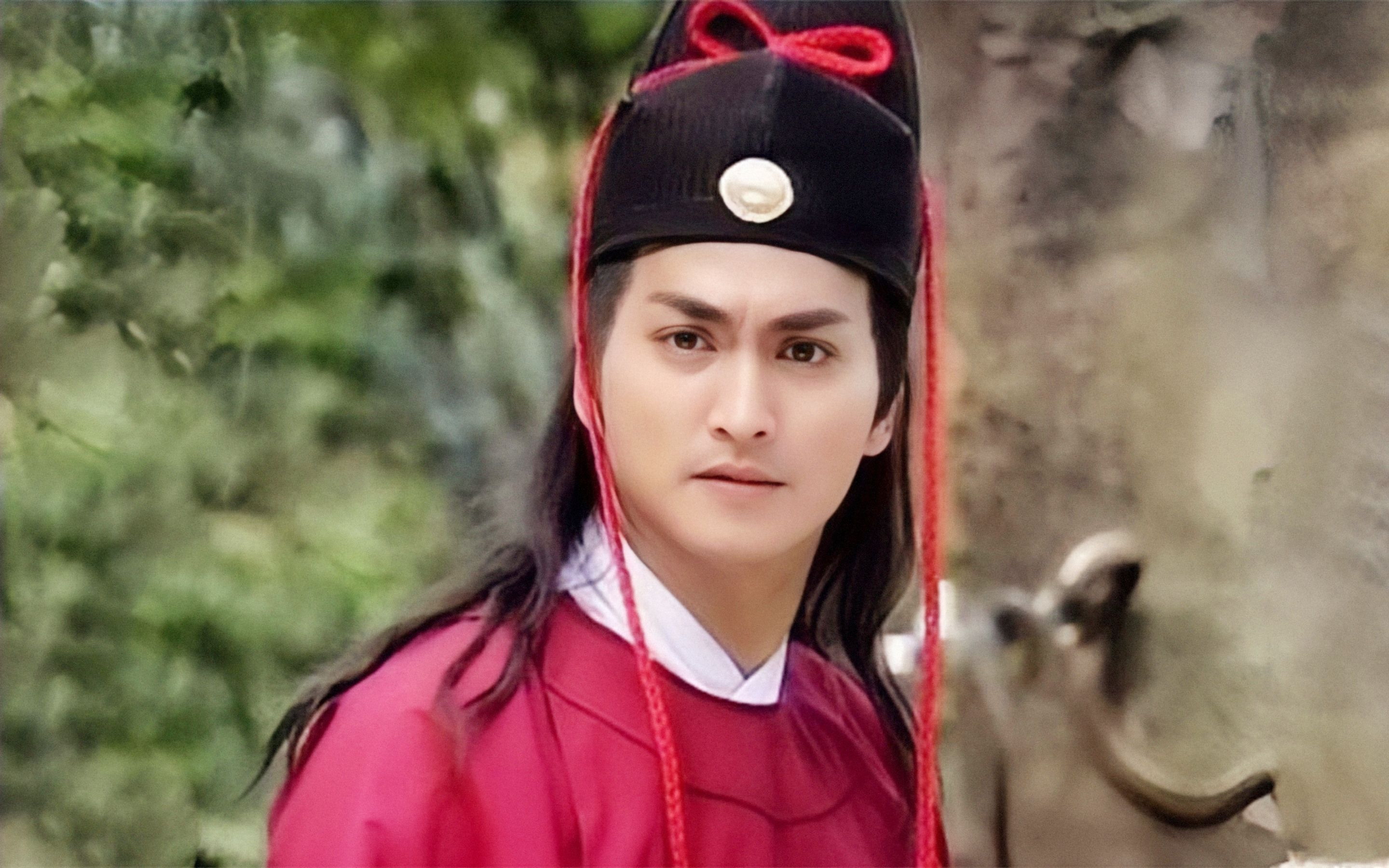 展昭扮演者何家劲简介,何家劲版展昭扮演者