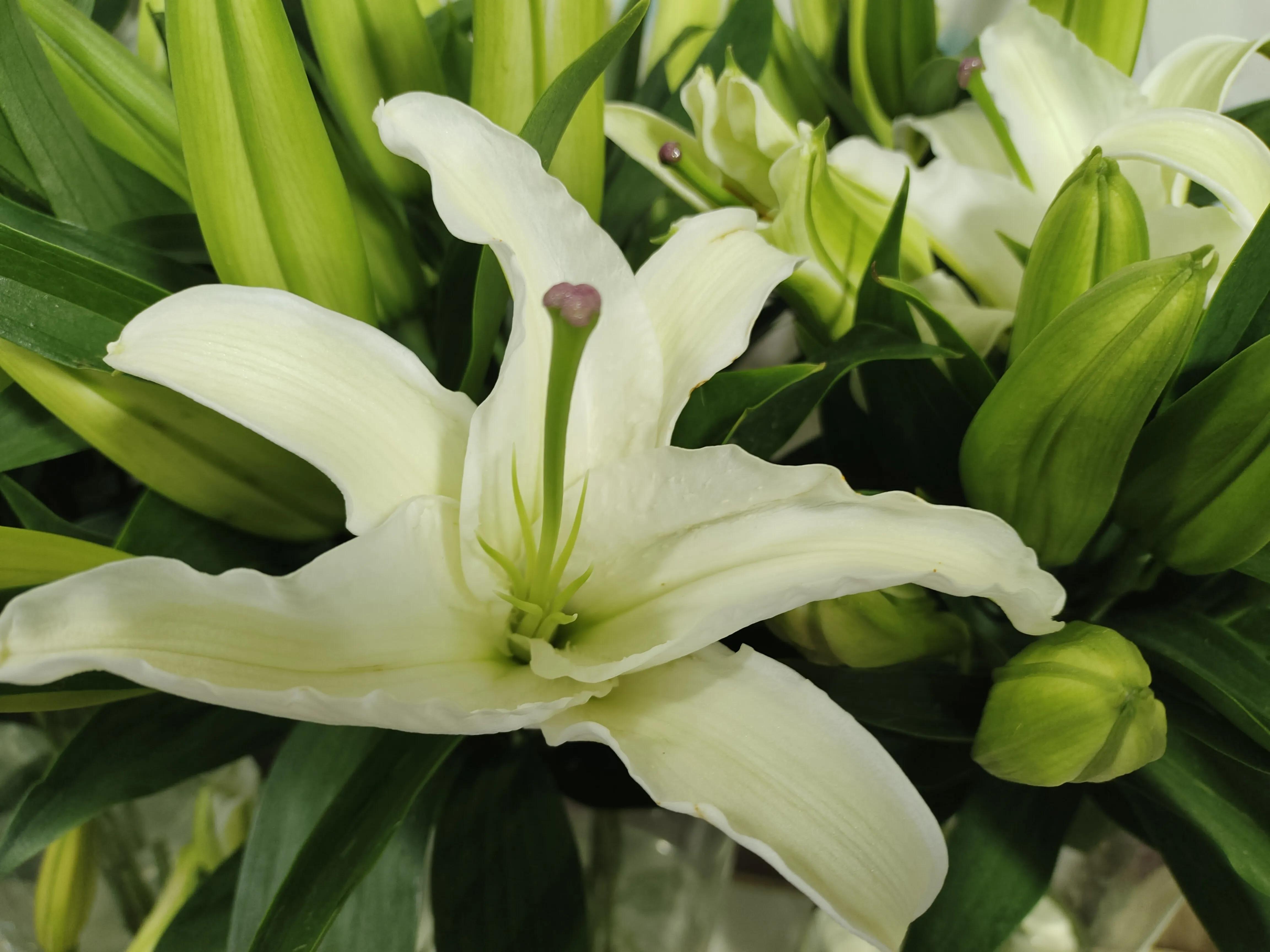 不懂装懂完整版视频,不懂装懂懂装不懂