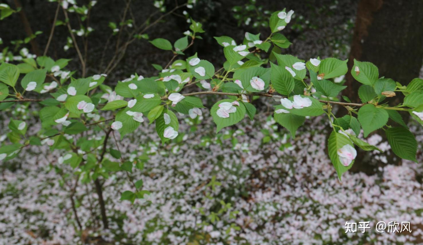 2-3天适合去哪里旅游湖北,湖北十堰旅游攻略三日游
