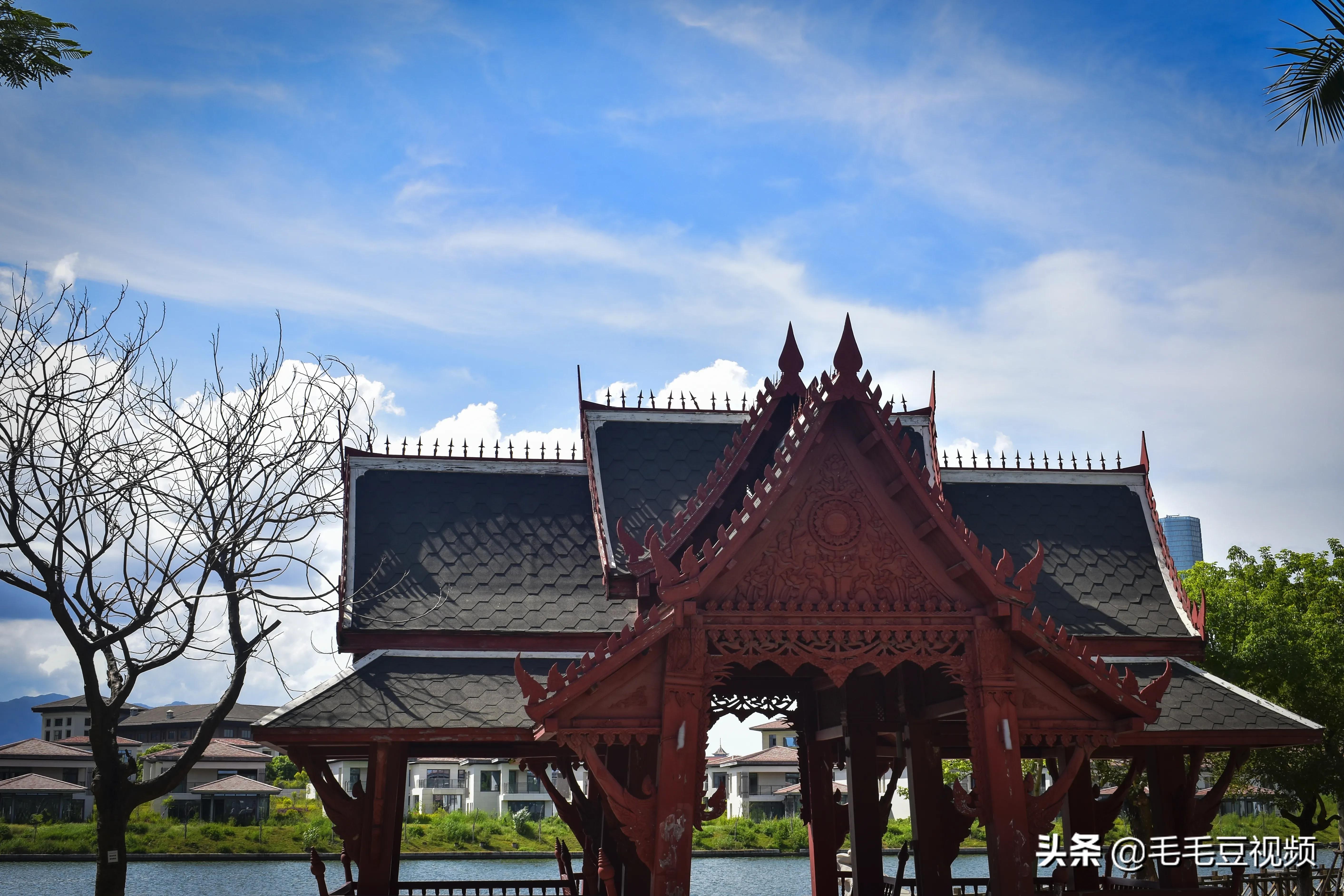 厦门适合初次约会的景点,厦门约会免费景点攻略图