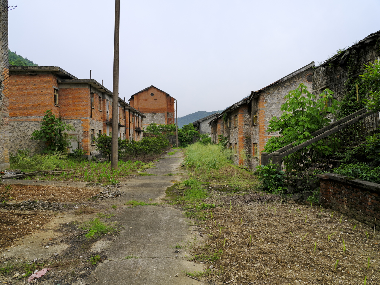 宜都717三线工厂,宜都717厂历史