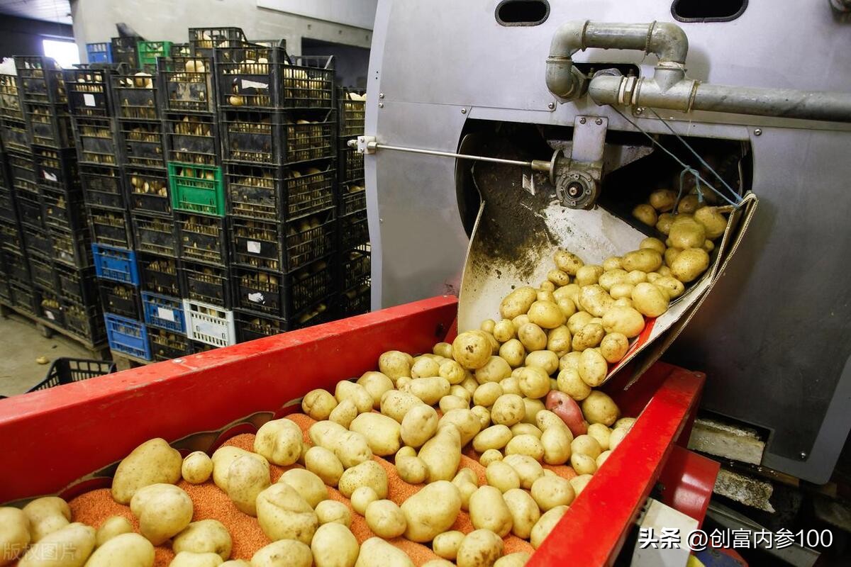 创富内参：淀粉深加工产品有哪些？利润有多高？这篇文章告诉你