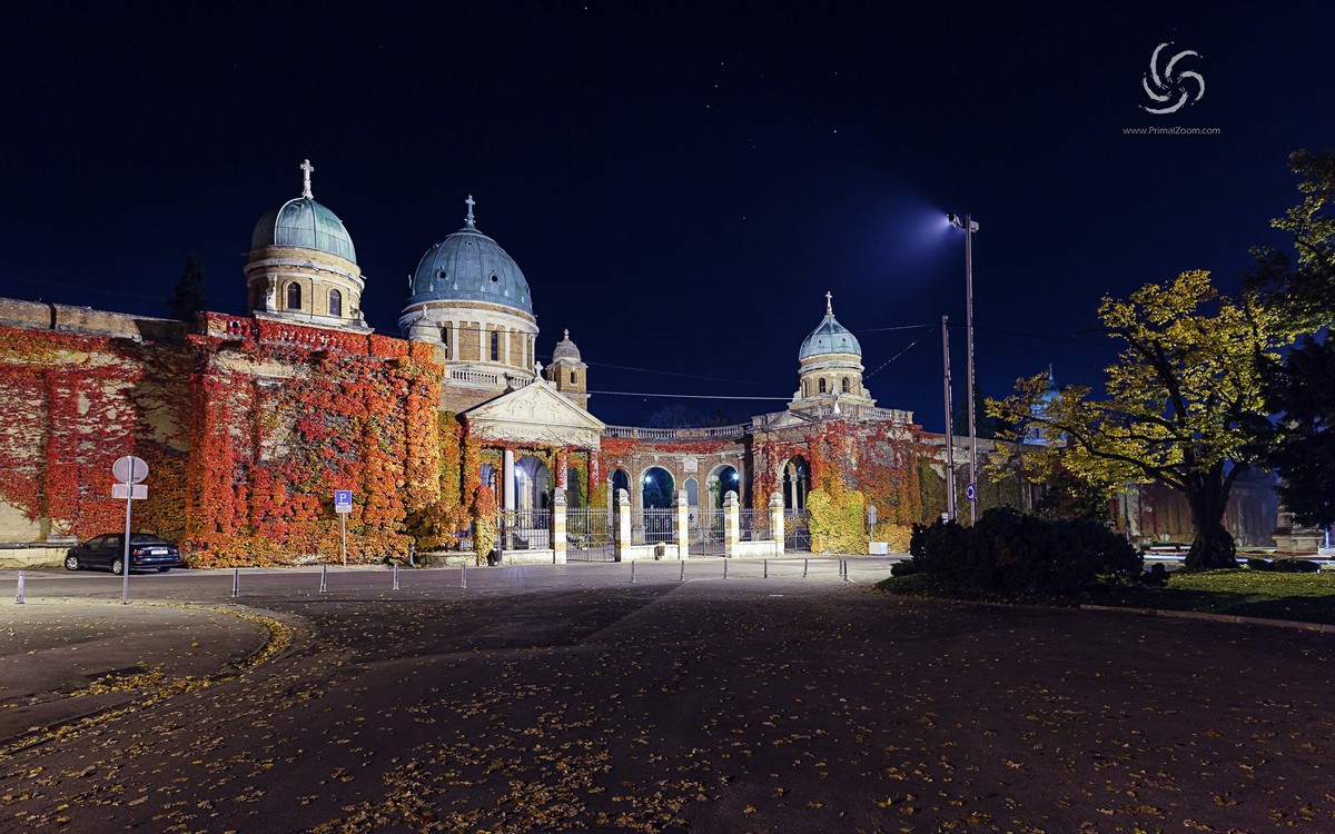 经典语录文案精辟的短句,励志人生格言简短文案霸气