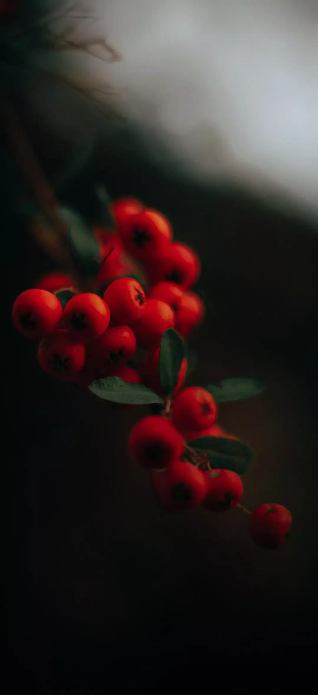 风生水起壁纸高清无水印,美女全屏无水印高清壁纸