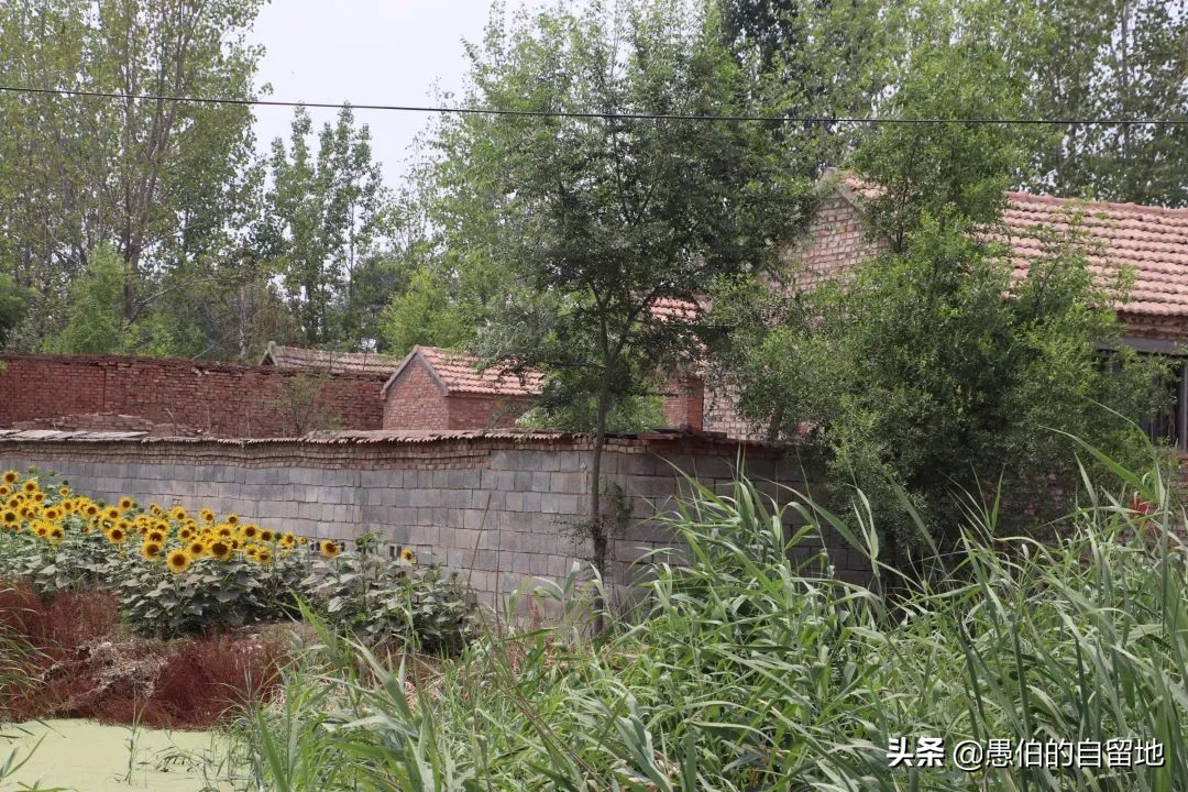 乡村纪实：他，一辈子结过四次婚，到老却成了孤家寡人