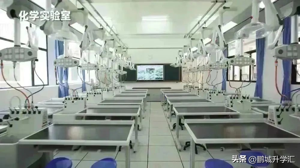 2024年深圳高中校园开放日,深圳市校园开放日