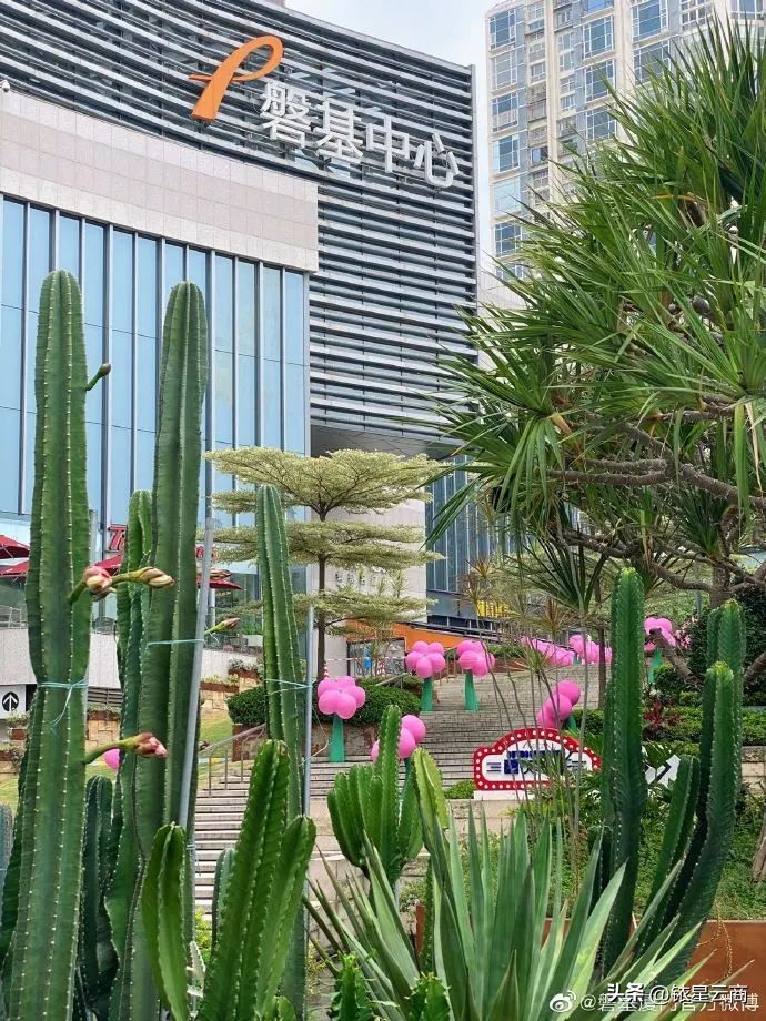 销售门店为五一造势活动视频,借势营销5大招