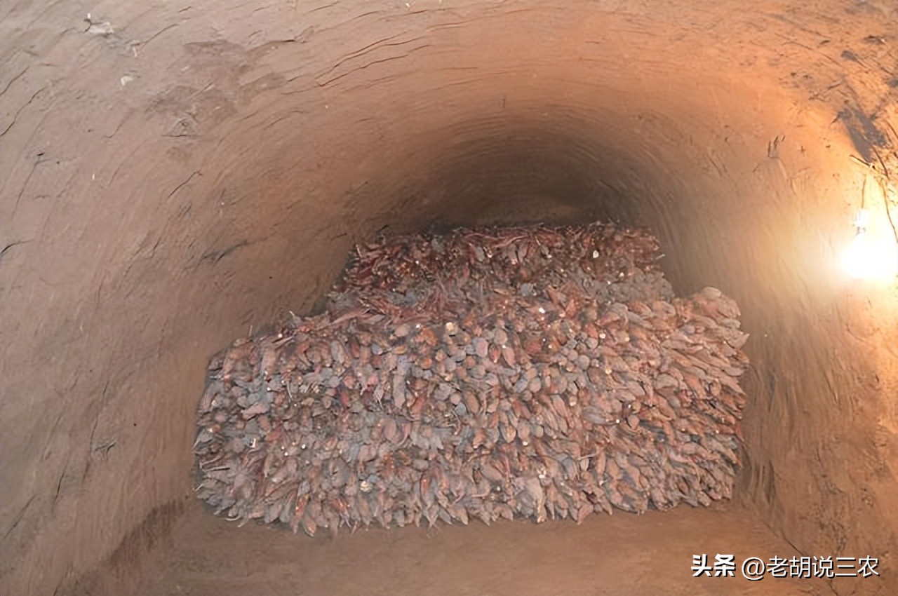 男子捡到一角纸币,男子在草丛发现纸币