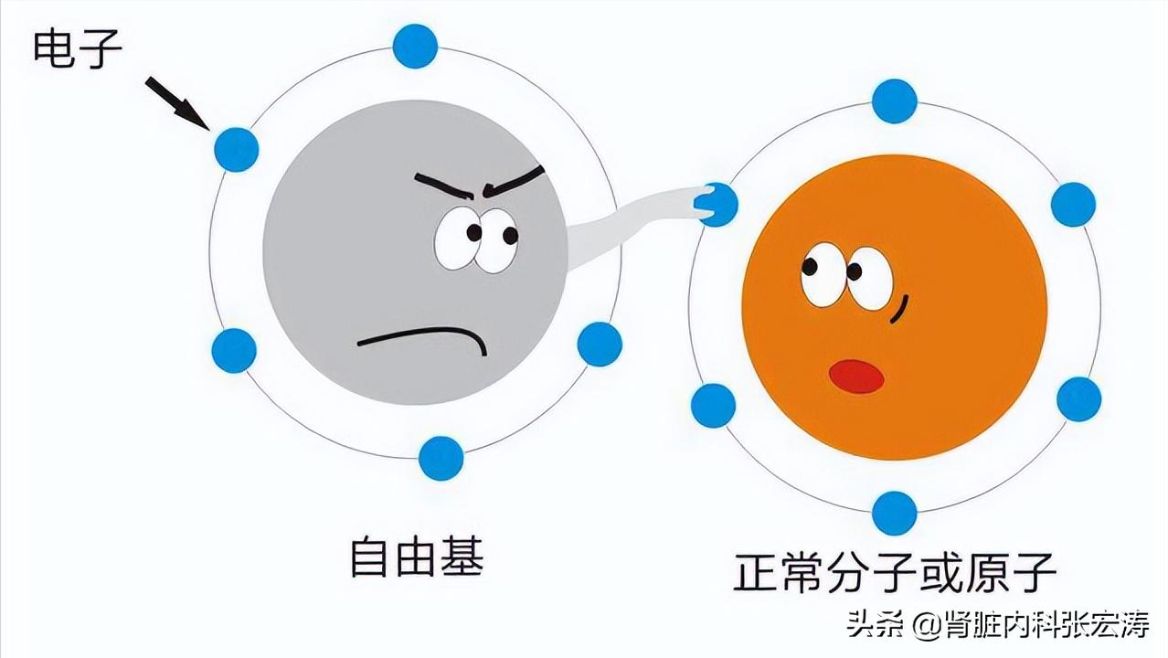 增强ct用造影剂对肾脏影响有多大,增强血管ct检查对人有伤害吗