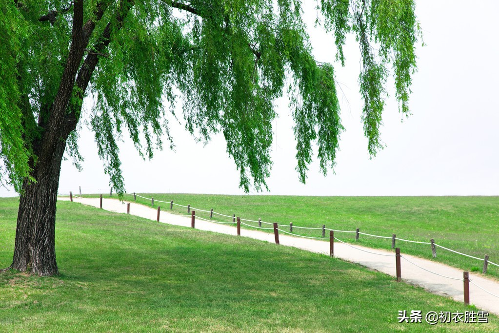 关于植树的诗名大全,关于植树的古诗词