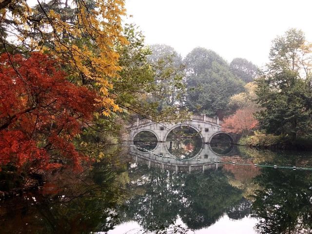 杭州周边赏秋好去处,杭州赏秋最佳攻略