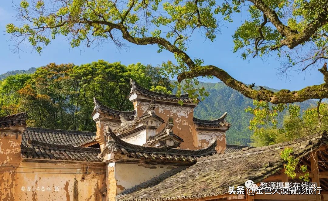 古堰瓯江帆影,古堰画乡赏瓯江帆影攻略